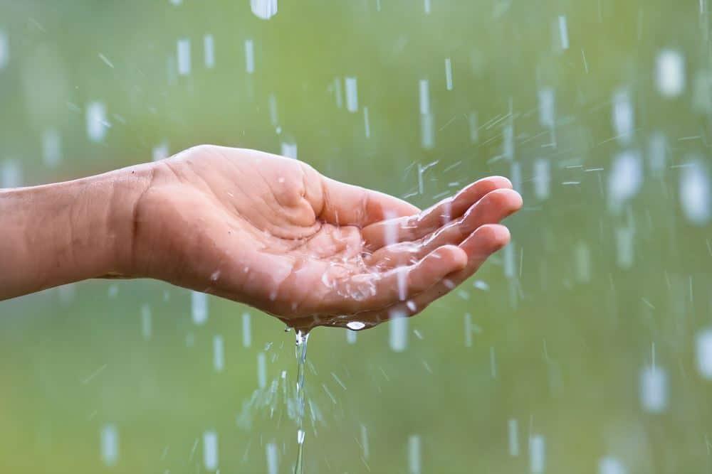 ¿Has tomado agua de lluvia? Esta es la razón por la que no deberías hacerlo