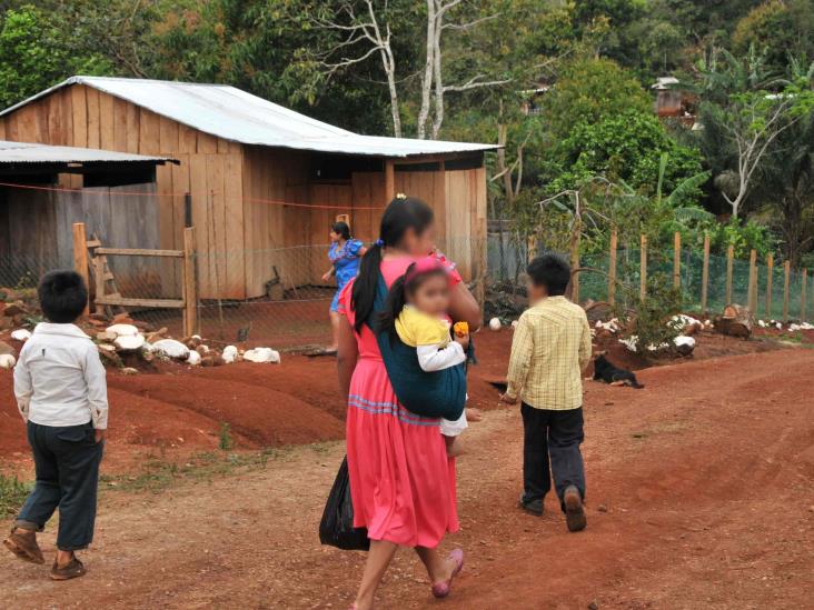 Persiste el trueque de niñas por ganado en la sierra sur de Veracruz