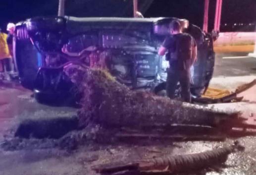 Conductor que iba a exceso de velocidad volcó al impactarse con palmera en Veracruz
