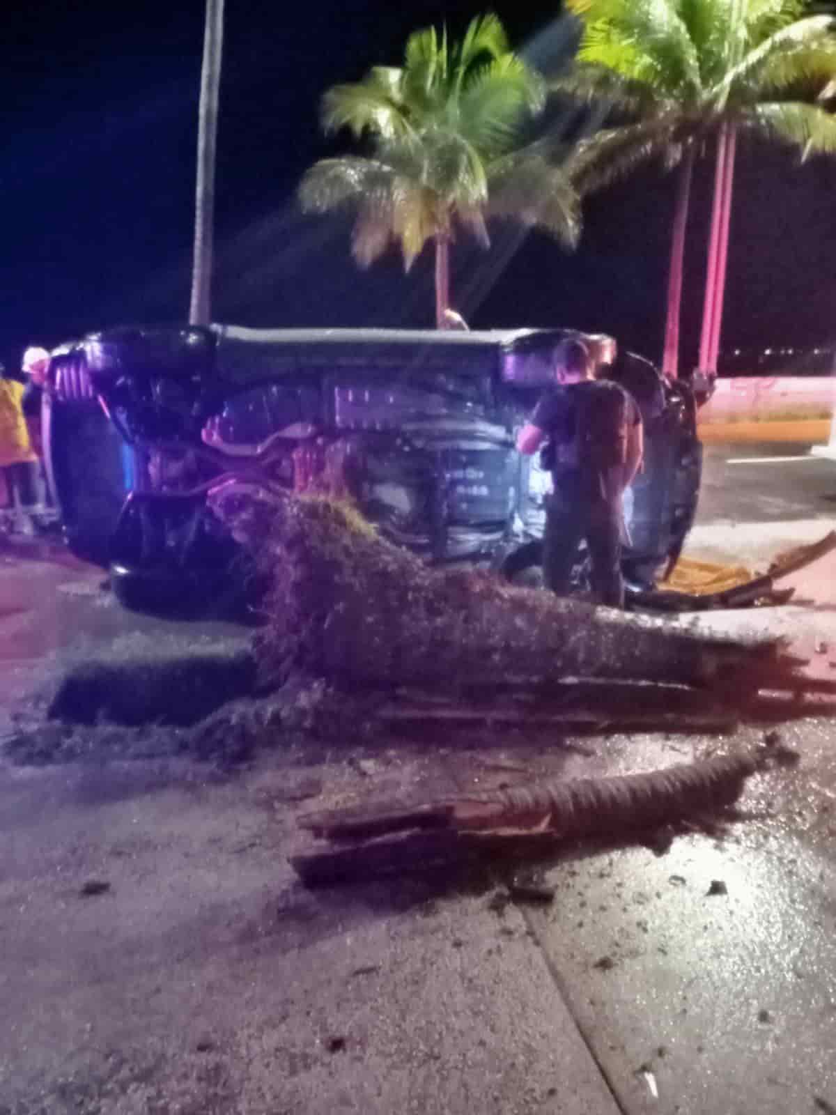 Conductor que iba a exceso de velocidad volcó al impactarse con palmera en Veracruz