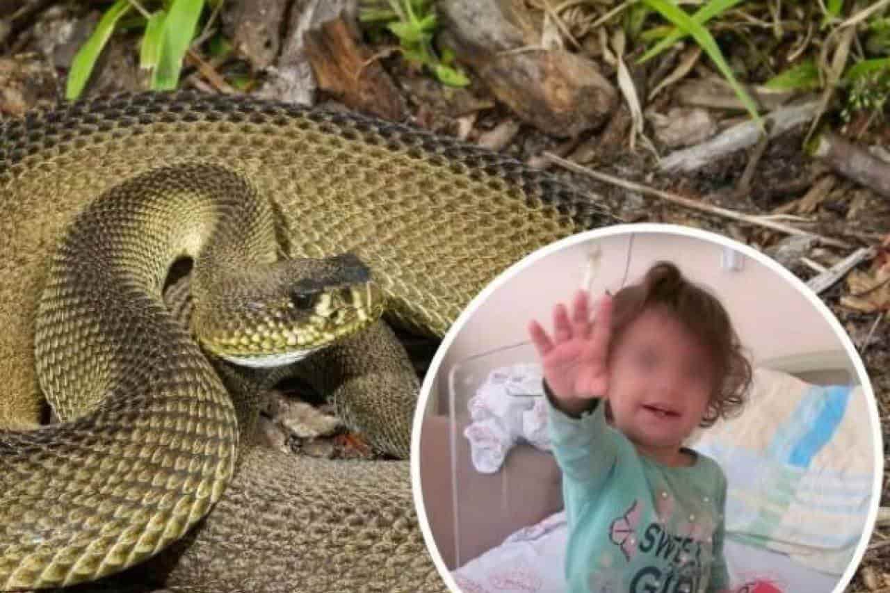 “Si me muerdes te muerdo”; Niña de 2 años mata a mordidas a serpiente