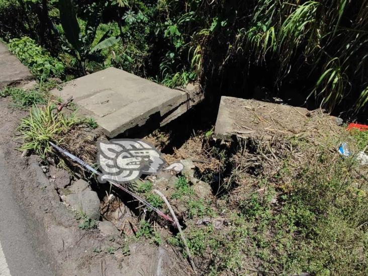 ‘Puente del Diablo’ aterra a coatepecanos; temen desgracia por falta de atención