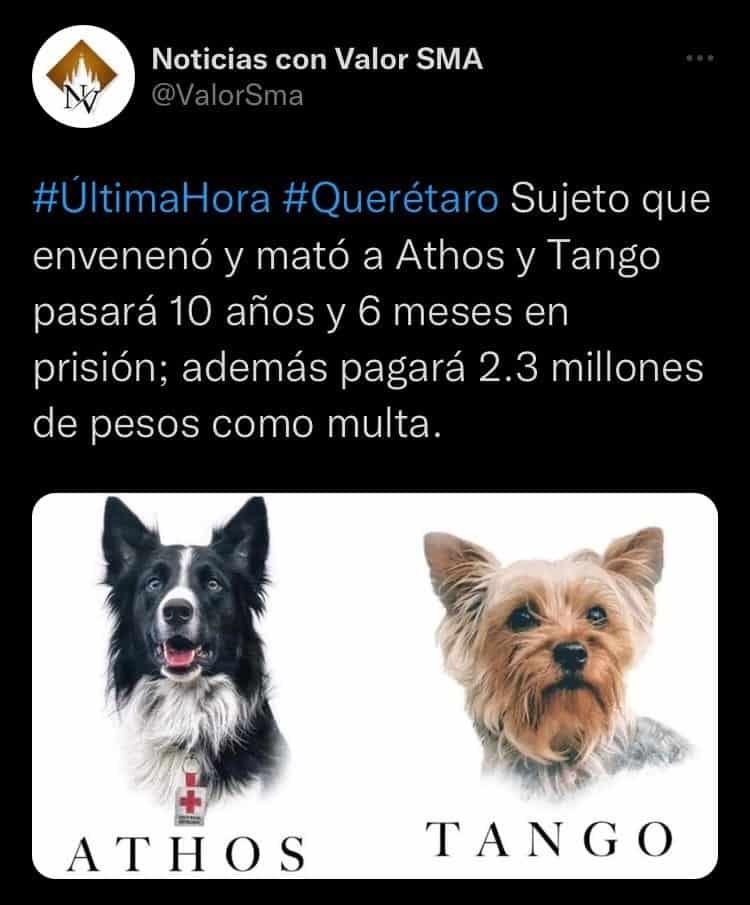 Querétaro pone ejemplo en castigo para asesinos de mascotas