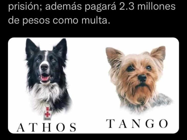 Querétaro pone ejemplo en castigo para asesinos de mascotas