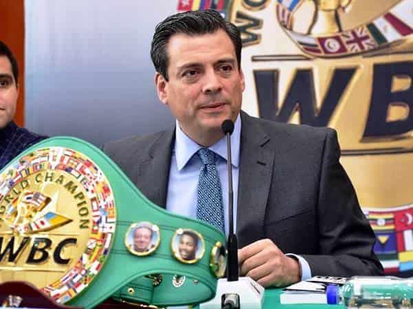 CMB planea abrir una categoría de boxeadores transgénero