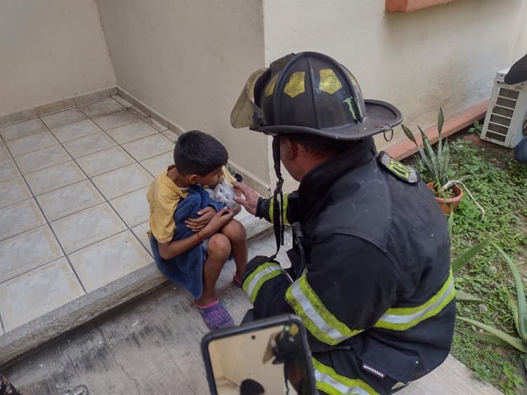 Pinky, el gato que se salvó de morir en un incendio en Veracruz (+video)