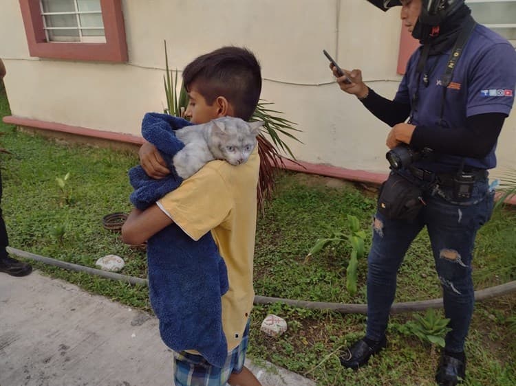 Pinky, el gato que se salvó de morir en un incendio en Veracruz (+video)