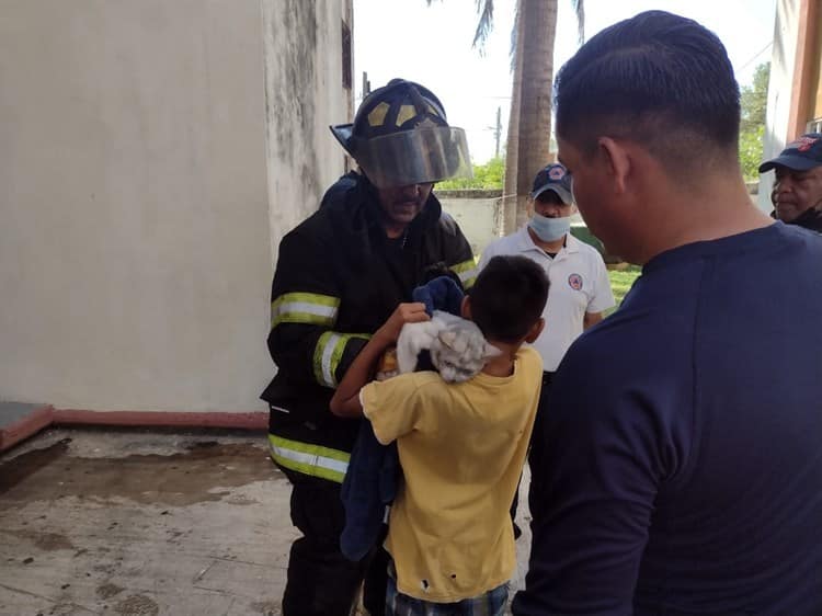 Pinky, el gato que se salvó de morir en un incendio en Veracruz (+video)