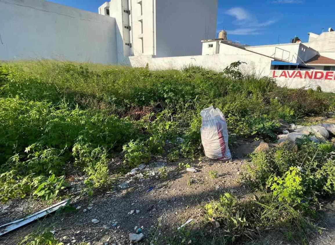 Habitantes del Virginia piden ayuda para limpiar terreno baldío