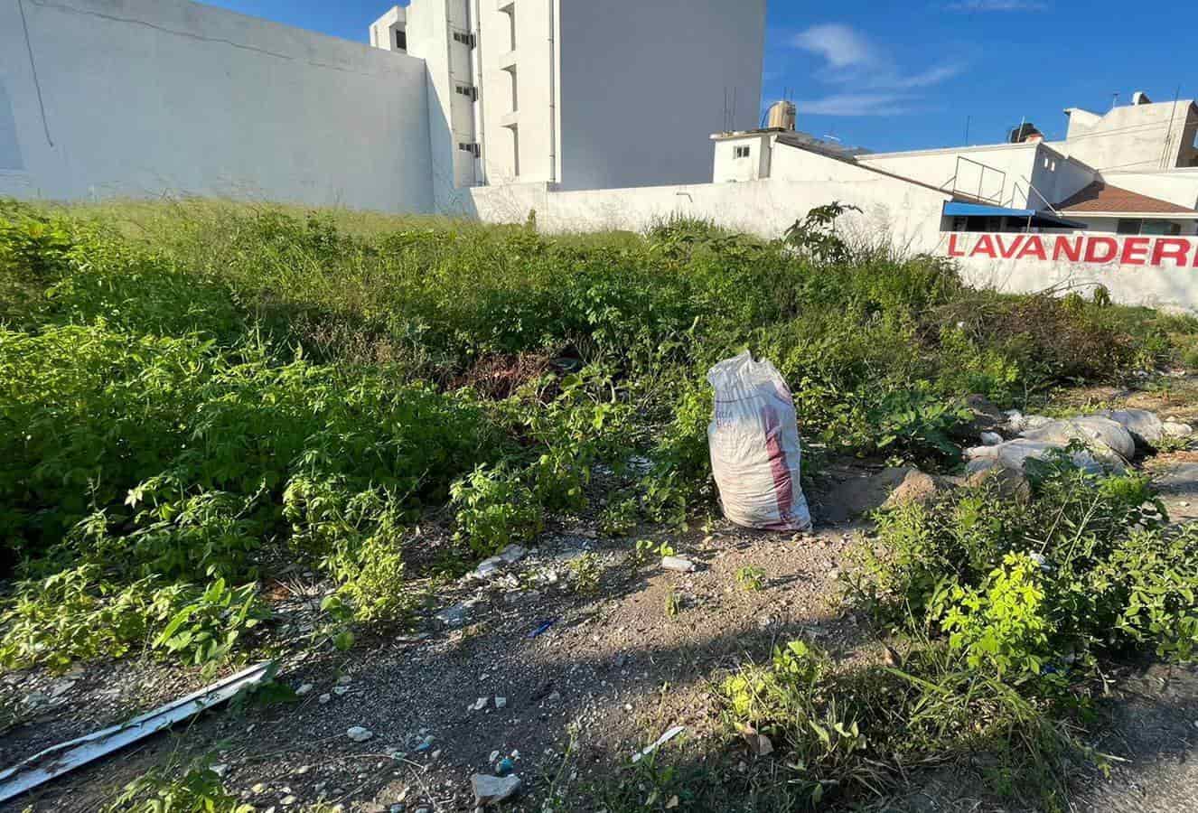 Habitantes del Virginia piden ayuda para limpiar terreno baldío