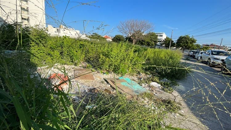 Habitantes del Virginia piden ayuda para limpiar terreno baldío