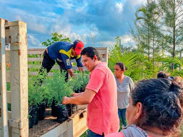 Llegan más de 9 mil árboles para reforestar Coatzacoalcos