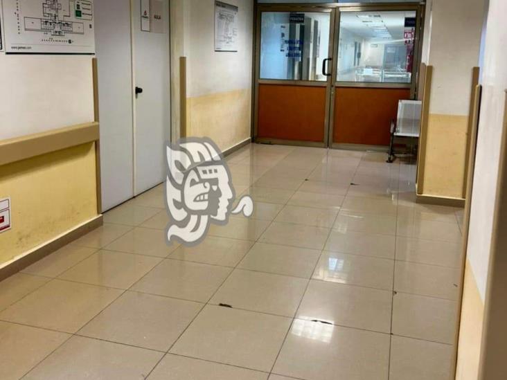 Denuncian plaga de pulgas y garrapatas en hospital de Pemex en Poza Rica