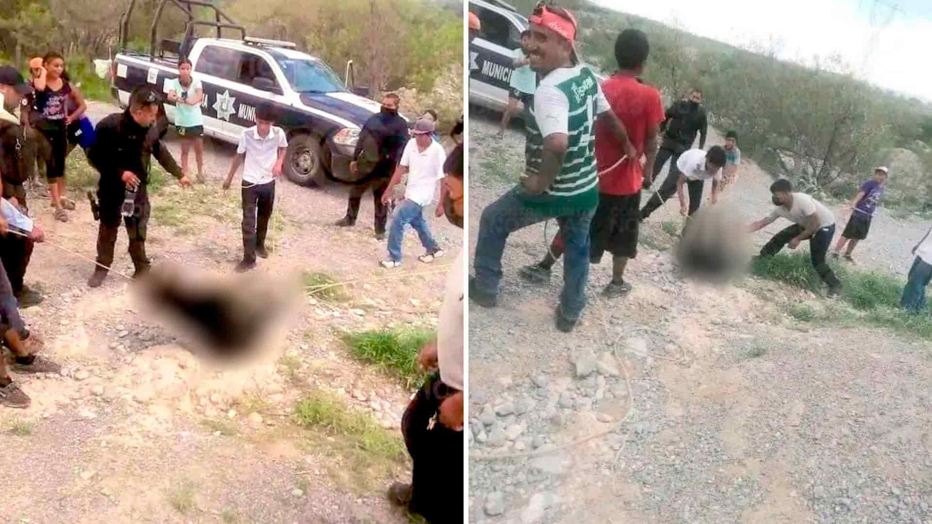 Fiscalía identifica a sujetos que provocaron la muerte de un oso en Coahuila