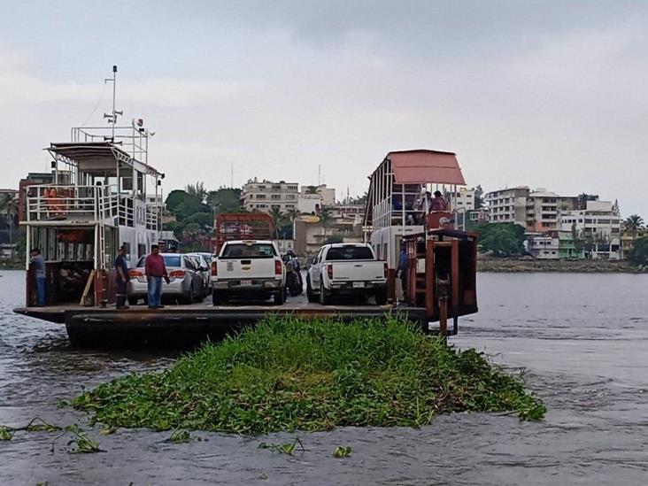 (+Vídeo) Así se las ingenian para retirar lirio en el río Coatzacoalcos