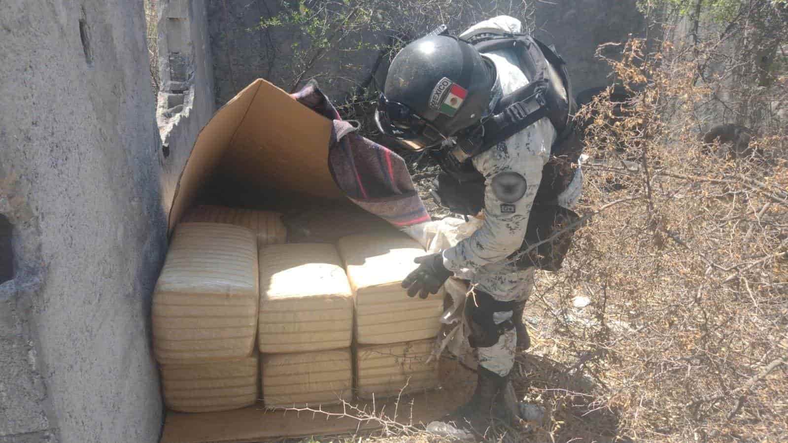 Decomisan más de 100 kilos de mariguana en predio abandonado de Nuevo León