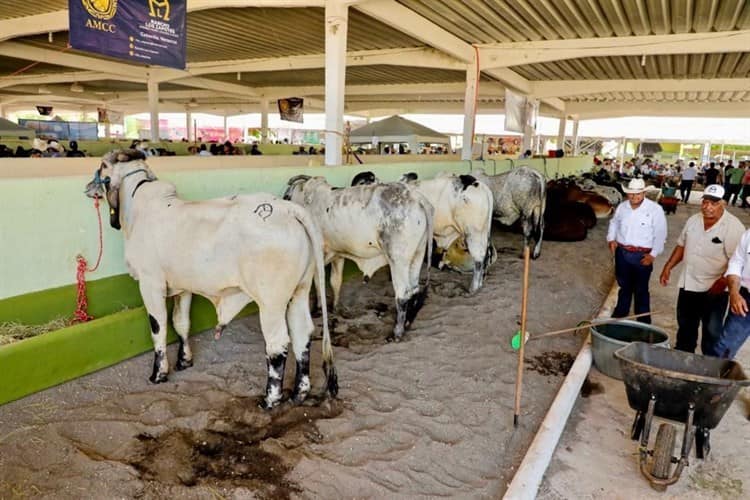 Celebra Unánue el regreso de la muestra agropecuaria Ylang Ylang 2022 en Boca del Río