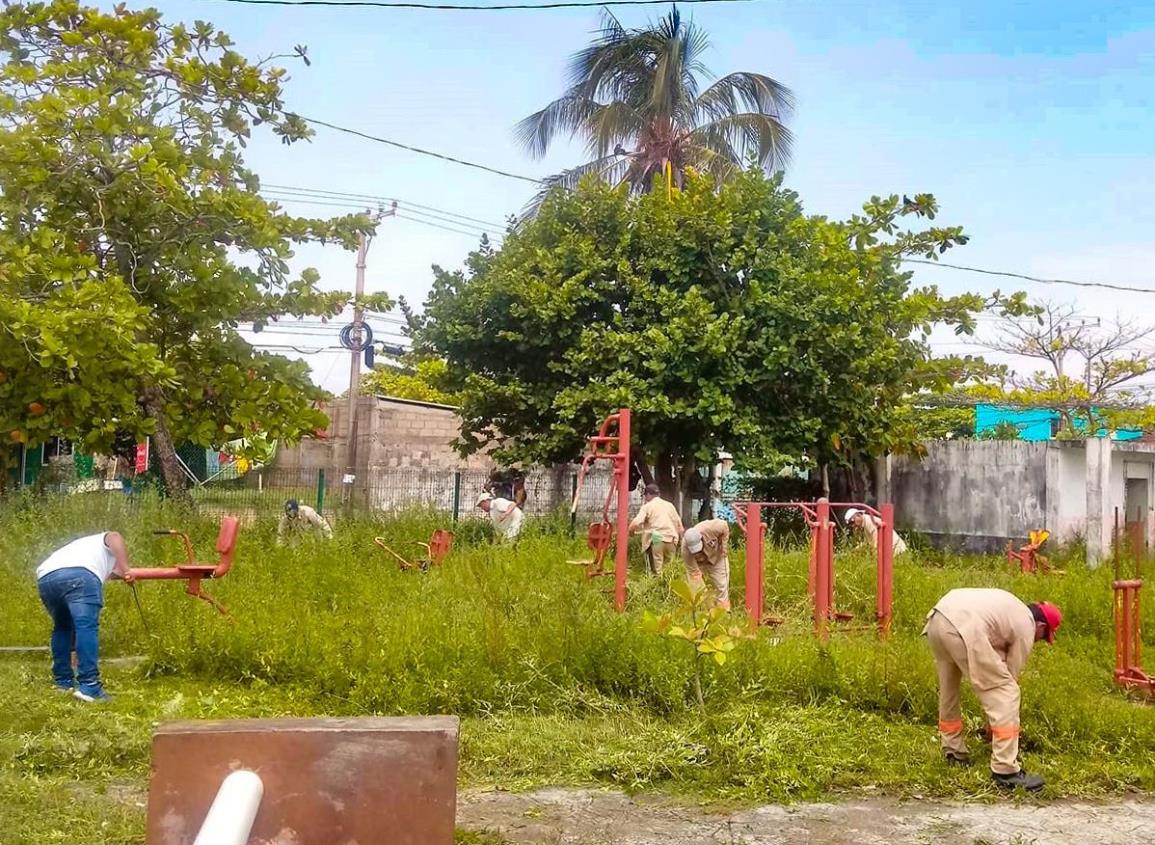 Embellece Ayuntamiento parques y avenidas de Coatzacoalcos