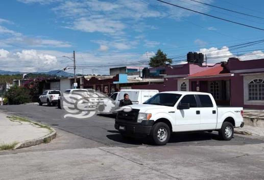 Catean bodega en colonia Rafael Lucio de Xalapa; hallan vehículos robados