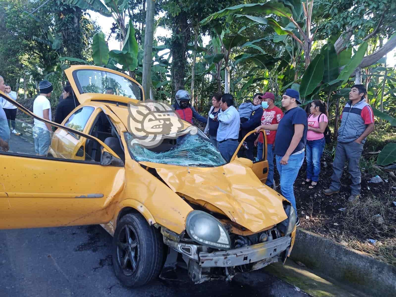 Chocan contra una vaca en carretera de Córdoba