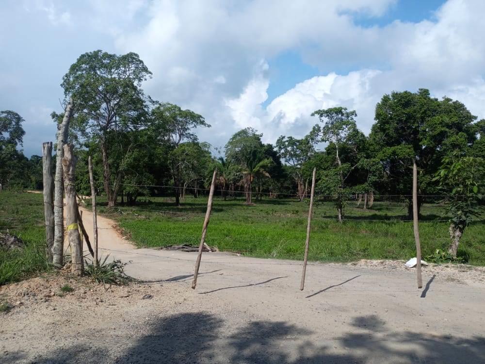 Tras cierre del Puente Los Soldados, abrirán otro paso en Las Choapas