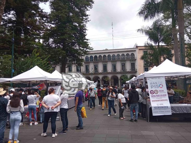 ¡Que no se te pase! Aún estás a tiempo para entrar a la prepa y universidad (+Video)