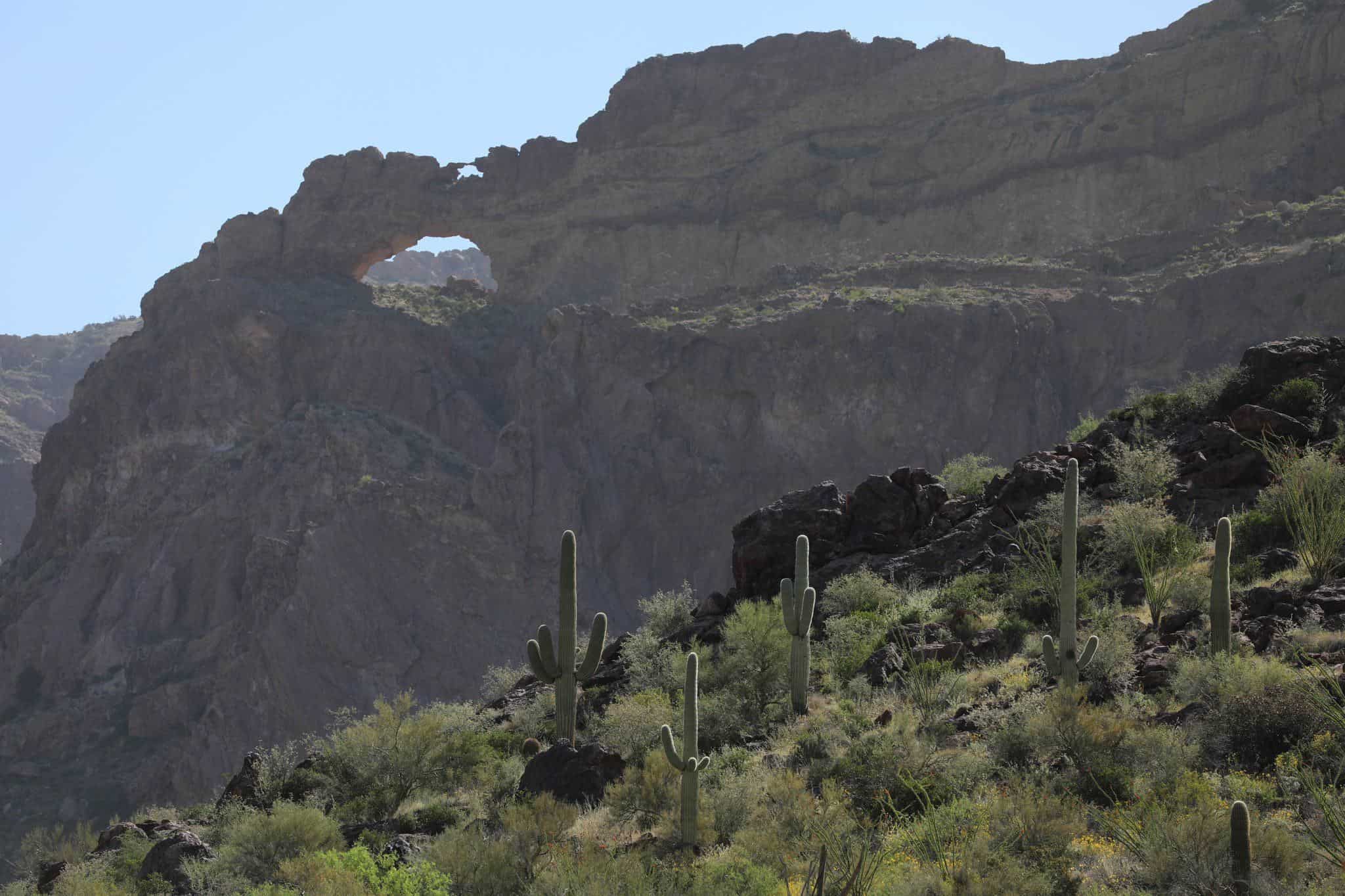 Abandonan a dos bebés en el desierto de Arizona