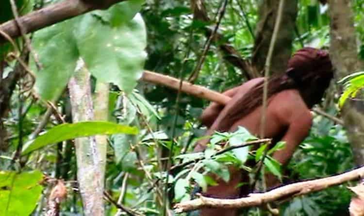 Muere ‘el hombre más solitario del mundo’ en Brasil; aquí su historia