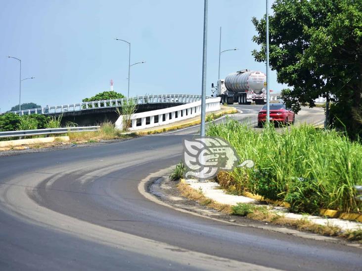 (+Video) Maleza rodea el Puente Caracol; se desprende concreto