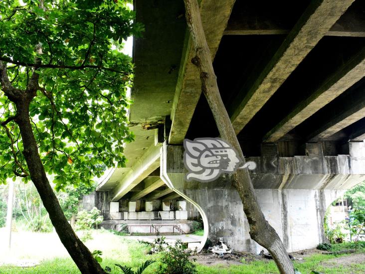 (+Video) Maleza rodea el Puente Caracol; se desprende concreto