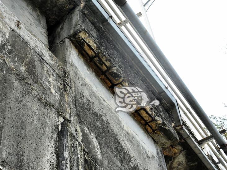 (+Video) Maleza rodea el Puente Caracol; se desprende concreto