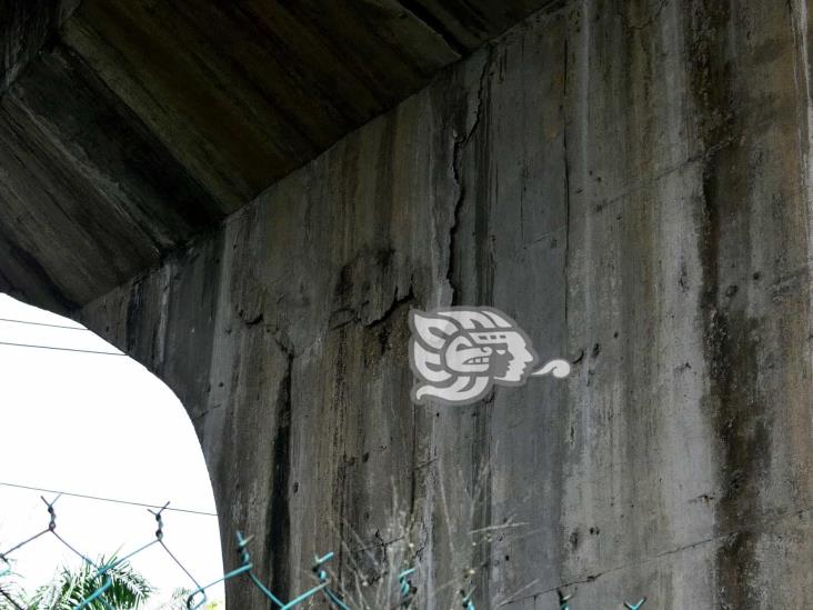 (+Video) Maleza rodea el Puente Caracol; se desprende concreto