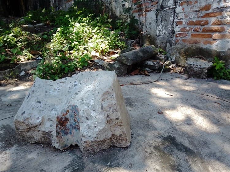 Vecinos de la Flores Magón piden ayuda para la integridad de la calle y un árbol