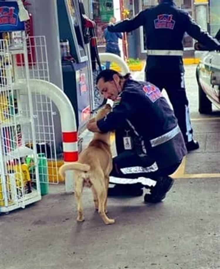 Perrito callejero se acerca a una gasolinera en Xalapa; empleado lo abraza