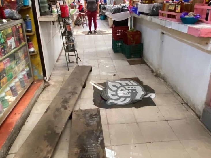 (+Video) Urge desazolve en el mercado 5 de Febrero de Minatitlán