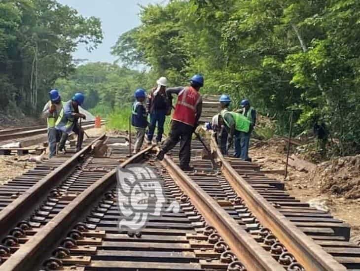 Estudian impacto ambiental en la vía Coatza-Salina Cruz