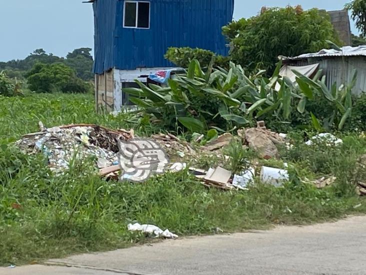 Exigen multa a quienes tiren basura en pantano de ‘El Palmar’