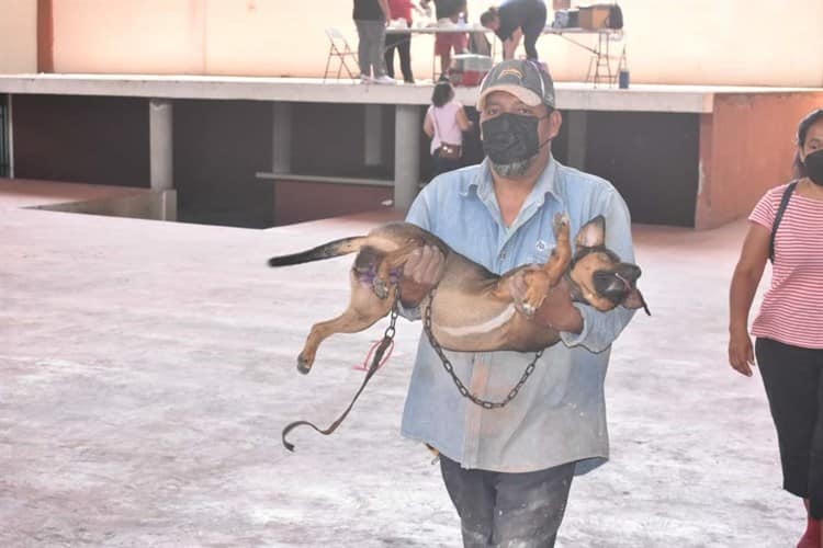 Esterilizan más de cien mascotas en Zempoala