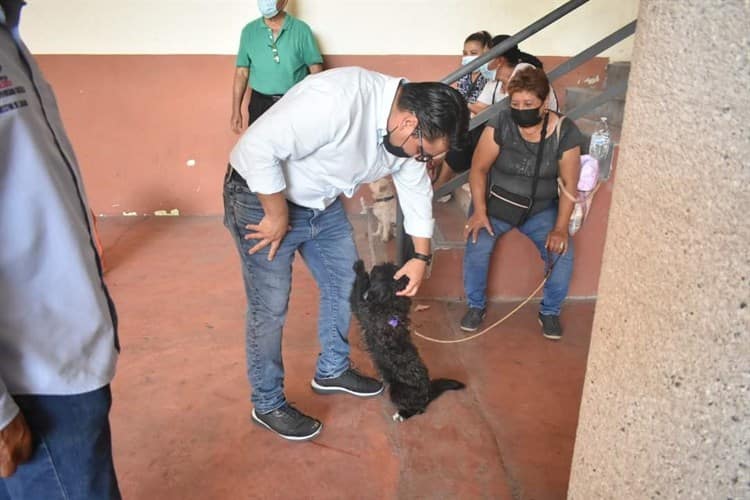 Esterilizan más de cien mascotas en Zempoala