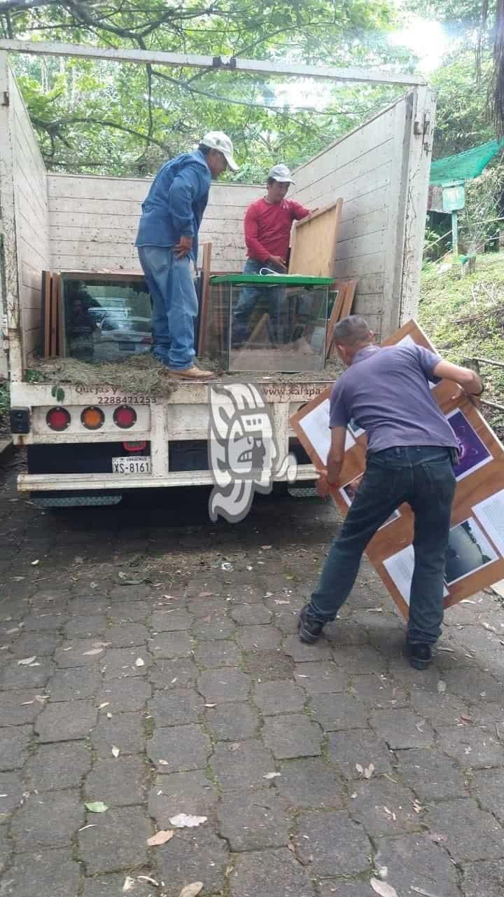 Así desalojaron el Museo de la Fauna en el Cerro del Macuiltépetl (+Video)