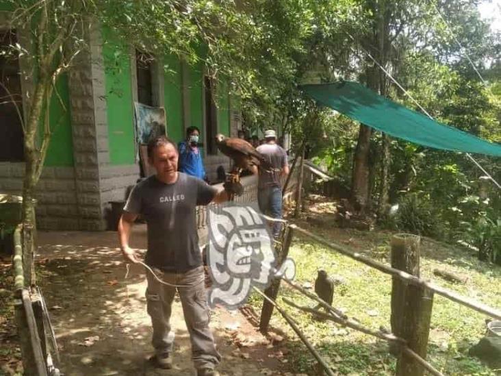 Así desalojaron el Museo de la Fauna en el Cerro del Macuiltépetl (+Video)