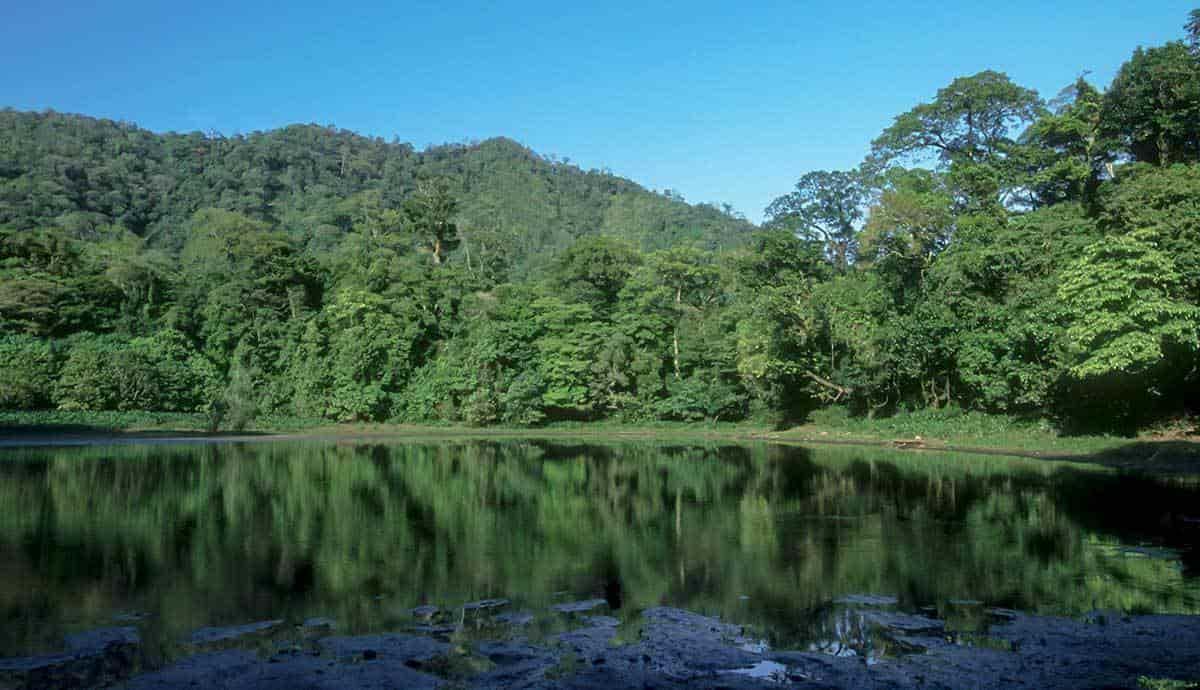 Más daños ecológicos en Los Tuxtlas