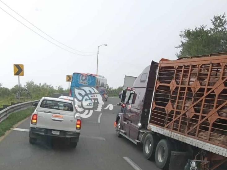 Con armas largas, delincuentes realizan asalto masivo en cumbres de Maltrata