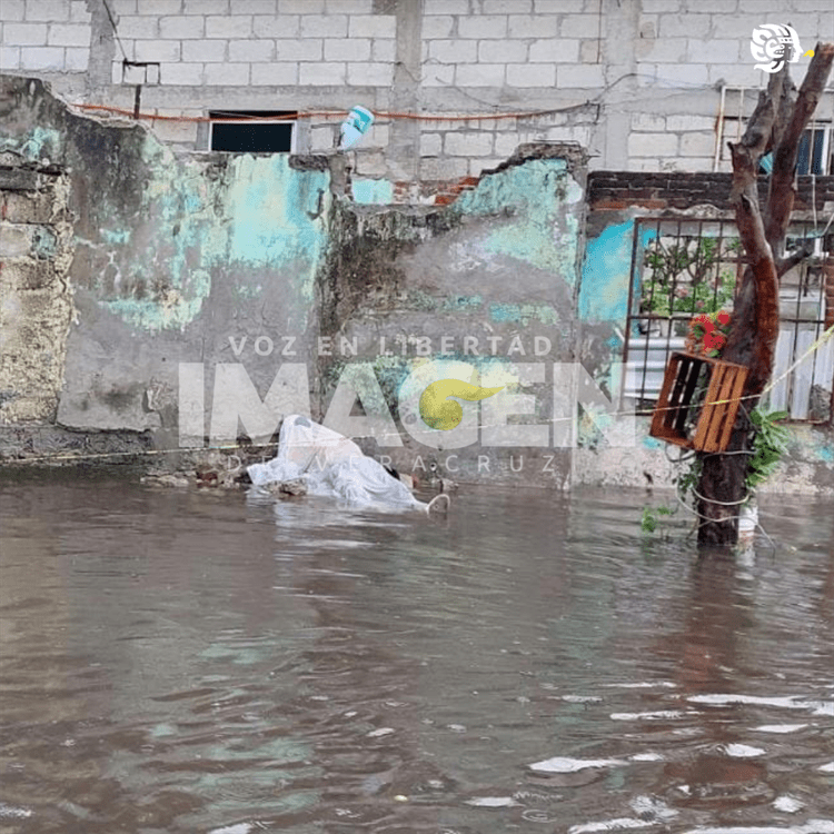 Vecina encontró un bulto, lo movió y era un muerto flotando en inundación de Veracruz