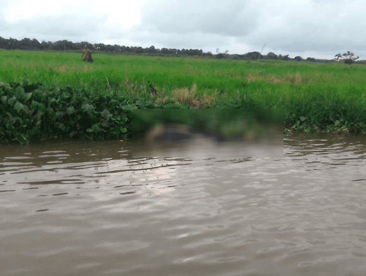 En Tlacotalpan, hallan persona muerta en las aguas del río Papaloapan