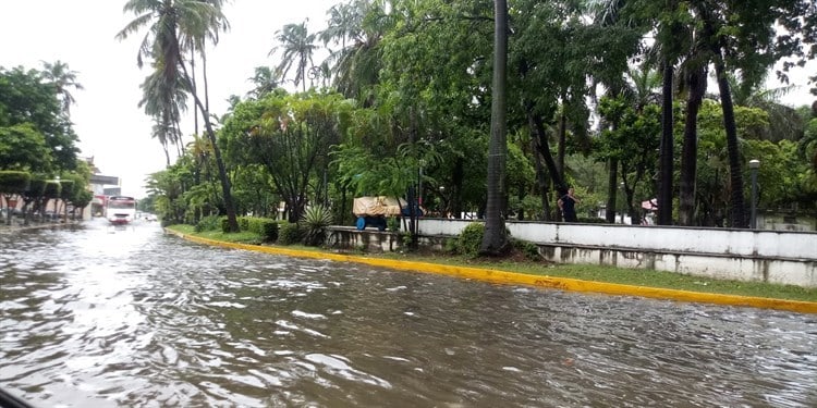 ¡Auto bajo el agua! Reportan inundaciones en Veracruz por lluvias (+video)