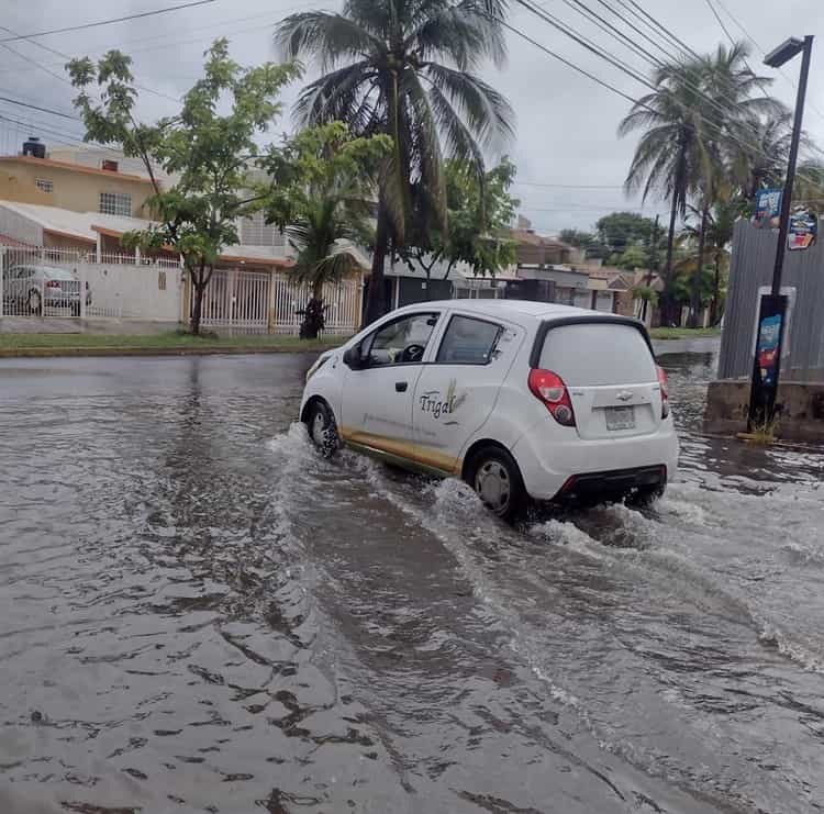 Bardas caídas, casas y calles anegadas, saldo de lluvias en Veracruz: PC