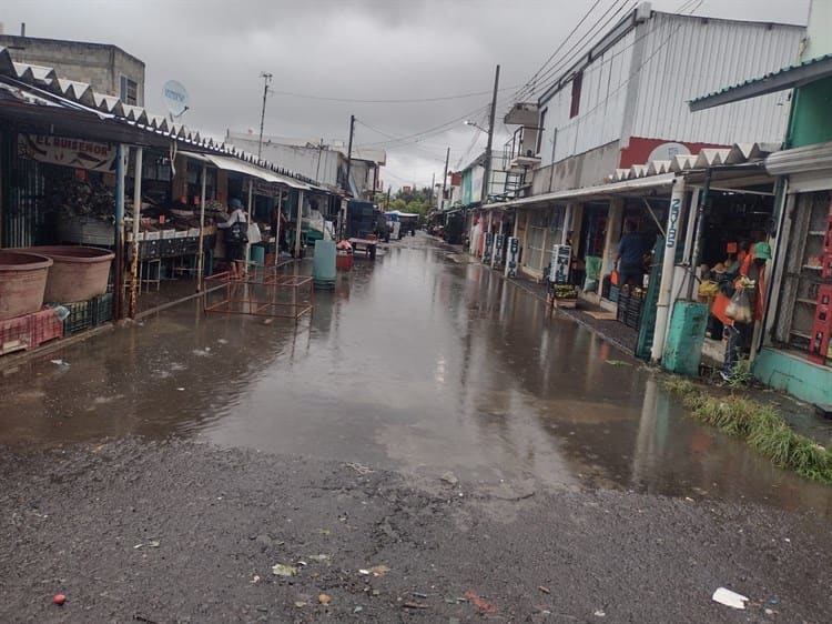 Bardas caídas, casas y calles anegadas, saldo de lluvias en Veracruz: PC