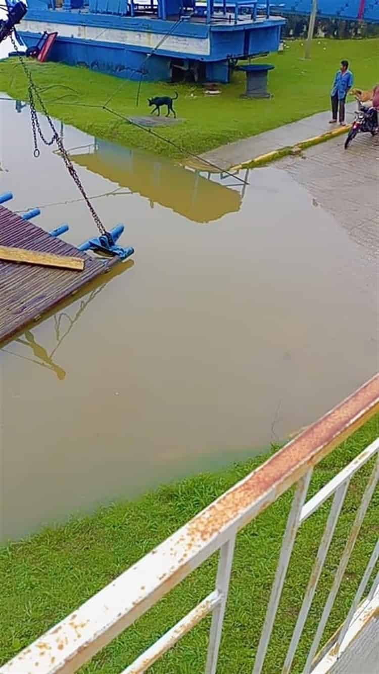 Empieza a desbordarse el río Papaloapan, podría afectar a municipios de la Cuenca