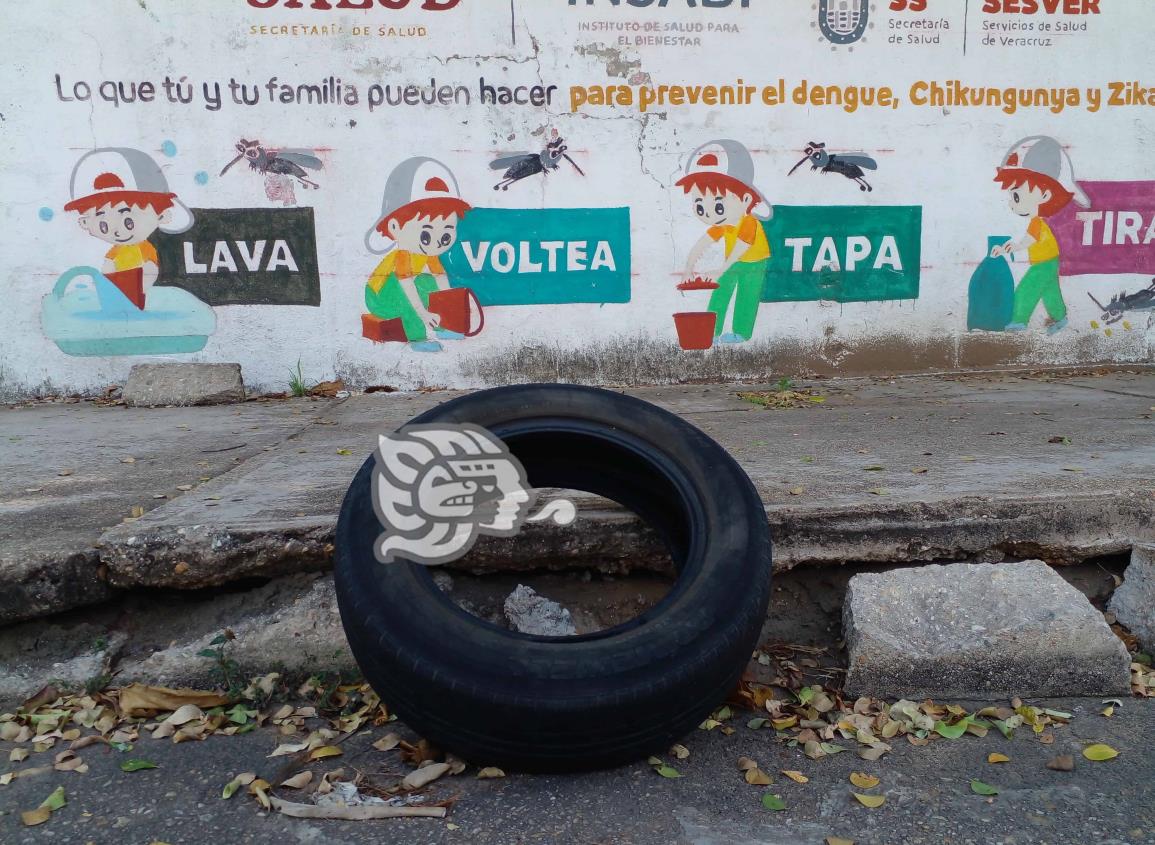 Lluvias provocan mayor proliferación del dengue, advierten en Coatzacoalcos(+Video)